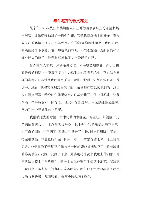 牵牛花开的散文范文