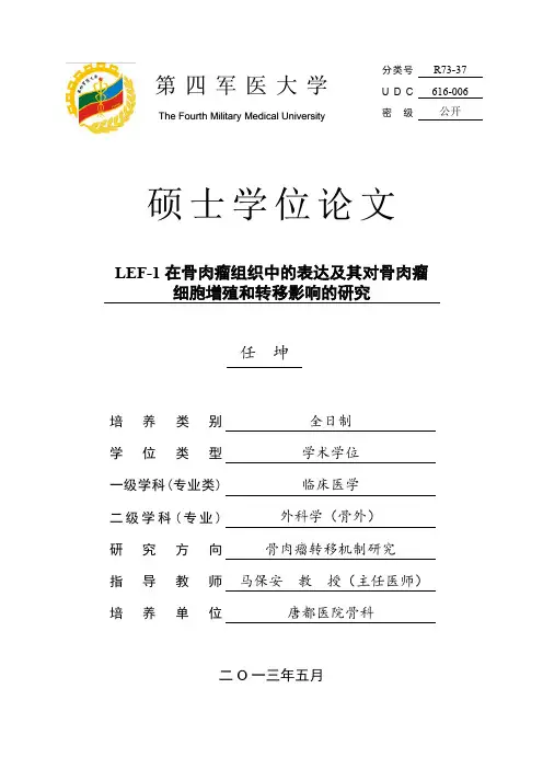 LEF1在骨肉瘤组织中的表达及其对骨肉瘤细胞增殖和转移影响研究