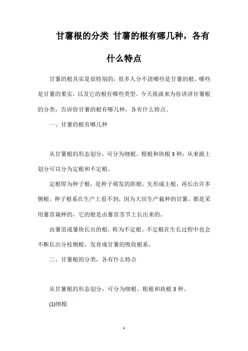 甘薯根的分类甘薯的根有哪几种,各有什么特点