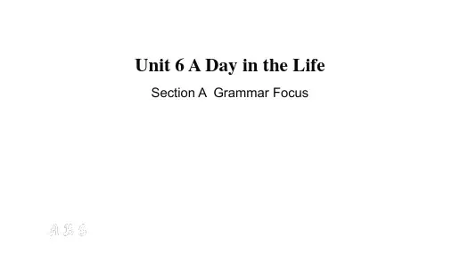 2024年人教版七年级英语上册 Unit 6 Grammar Focus (3a-3d)(课件)