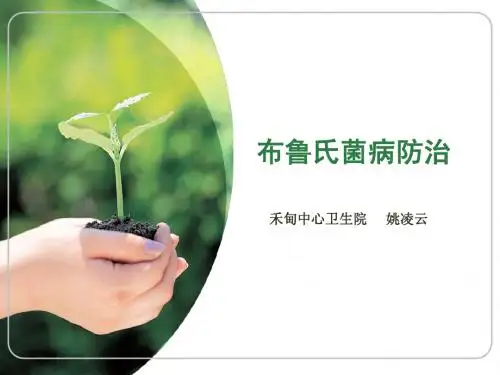 布鲁氏菌病防治