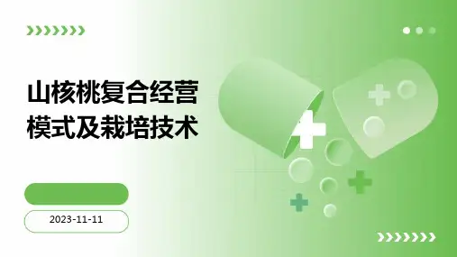 山核桃复合经营模式及栽培技术