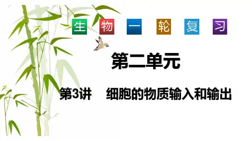 高三生物一轮复习课件2.3物质输入输出