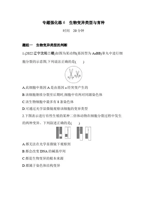 人教版高中生物必修2第5章基因突变及其他变异专题强化练6生物变异类型与育种含答案