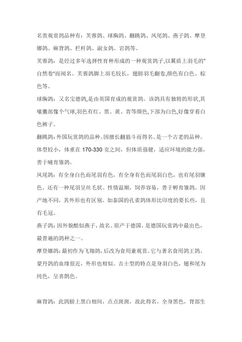 观赏鸽的种类