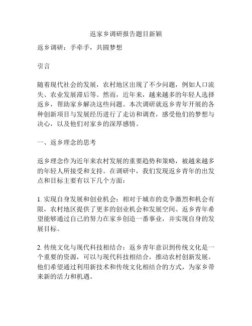 返家乡调研报告题目新颖