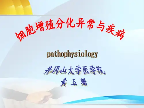 细胞增殖分化异常和疾病