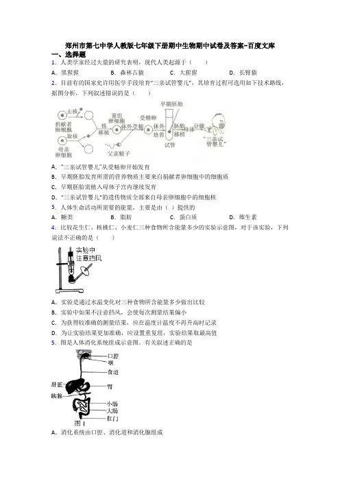 郑州市第七中学人教版七年级下册期中生物期中试卷及答案-百度文库