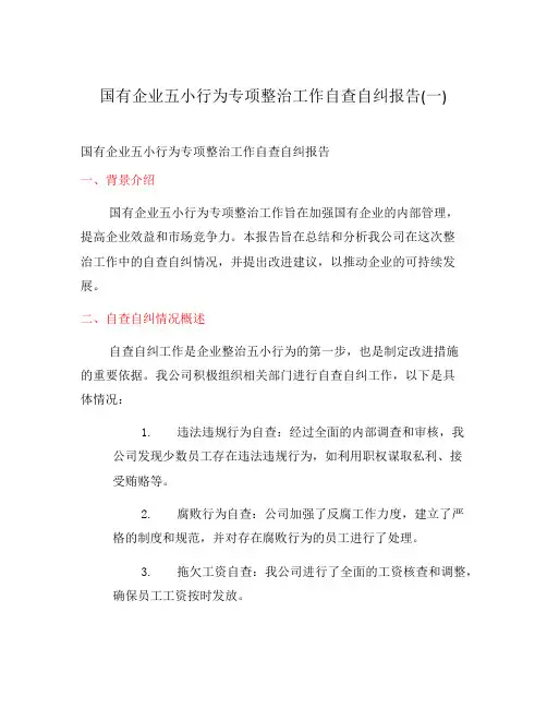 国有企业五小行为专项整治工作自查自纠报告(一)