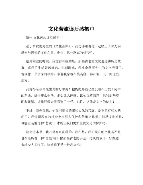 文化苦旅读后感初中