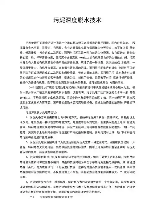 污泥深度脱水技术