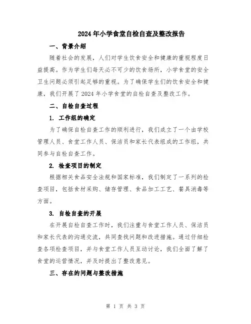 2024年小学食堂自检自查及整改报告