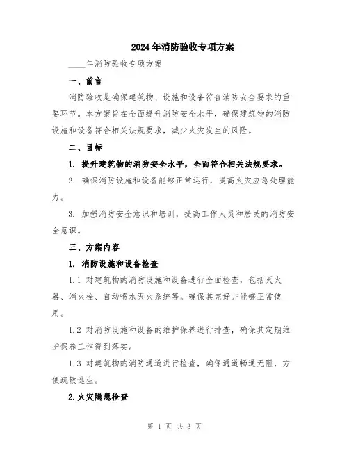 2024年消防验收专项方案