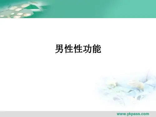 男性性功能ppt课件