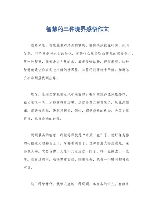 智慧的三种境界感悟作文