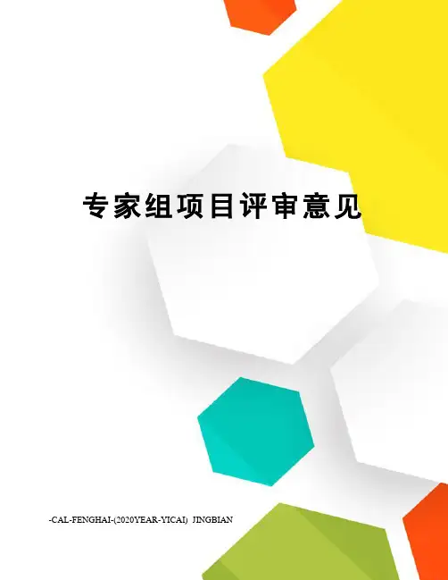 专家组项目评审意见