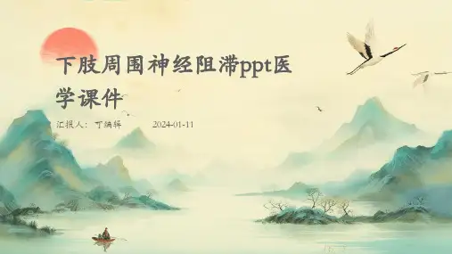 下肢周围神经阻滞ppt医学课件
