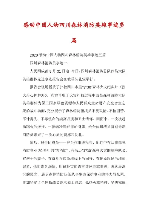 感动中国人物四川森林消防英雄事迹多篇