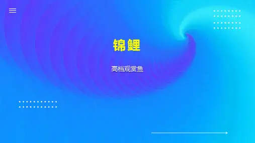 锦鲤    