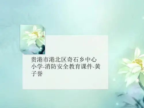 贵港市港北区奇石讲义乡中心小学-消防安全教育课件-黄子誉