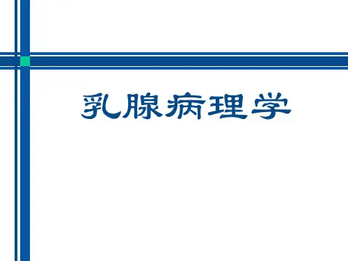 乳腺病理ppt