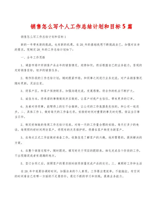 销售怎么写个人工作计划和目标5篇