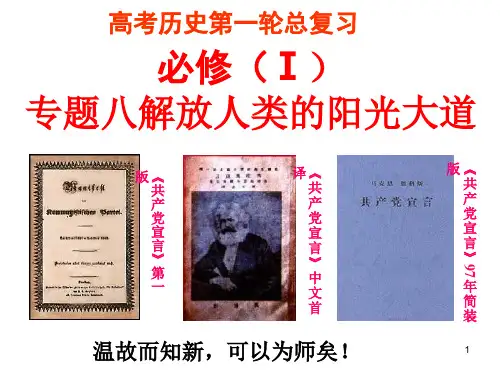 高考历史第一轮总复习课件(课堂PPT)