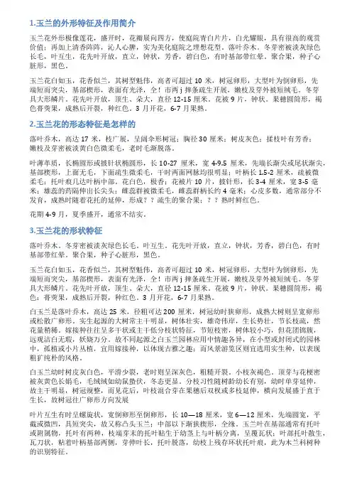 简短的玉兰花外形特征