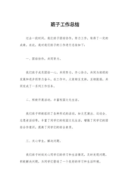班子工作总结