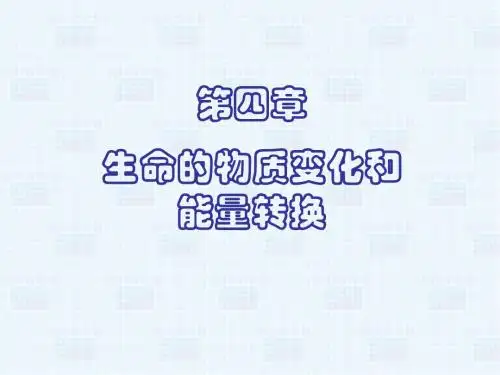 生物体内的化学反应
