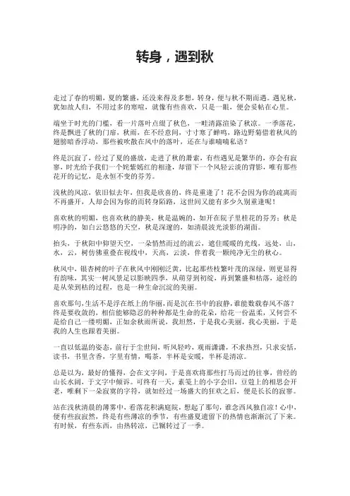 转身,遇到秋