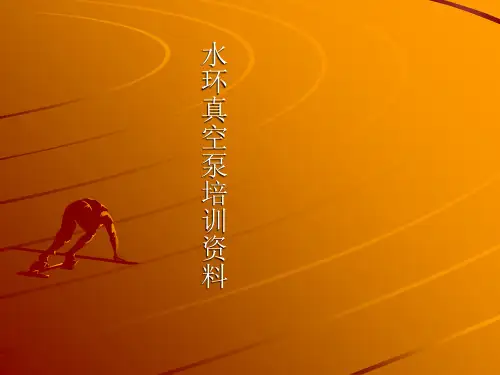水环真空泵培训资料PPT课件