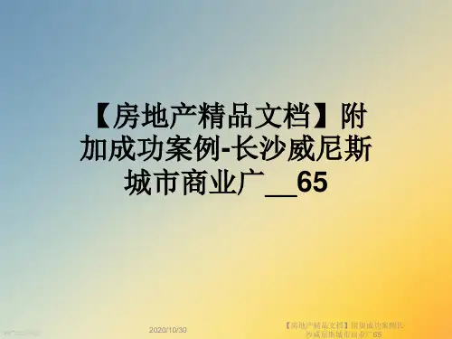 【房地产精品文档】附加成功案例长沙威尼斯城市商业广65