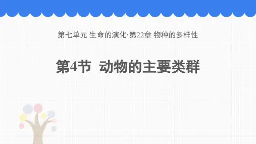 《动物的主要类群》PPT免费课件