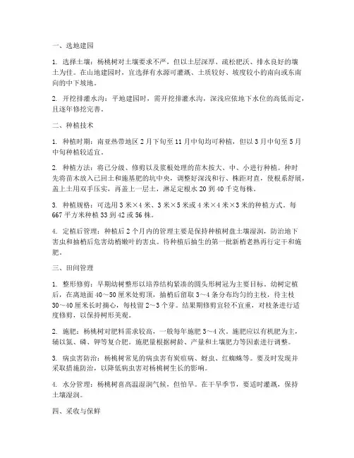 杨桃树的种植管理技术