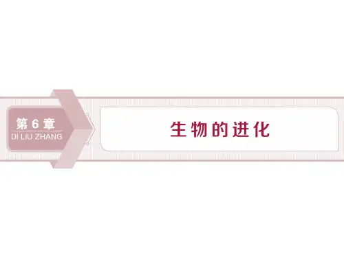 2019-20202学年新教材人教版必修2  第6章 第1节 生物有共同祖先的证据 课件(25张)