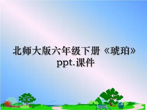 最新北师大版六年级下册《琥珀》ppt.课件课件PPT