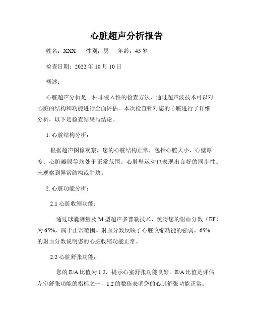 心脏超声分析报告