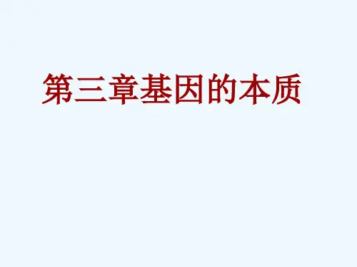 高三生物高考一轮复习第三章-1-DNA是主要的遗传物质课件人教版必修2