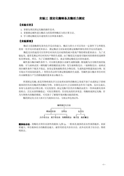 固定化酶制备及酶活力测定