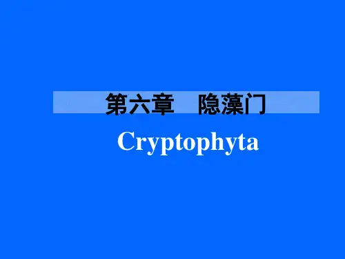 第六七章 隐藻门与甲藻门