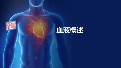 血液—血液概述(组织胚胎学)