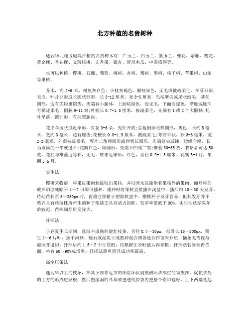 北方种植的名贵树种
