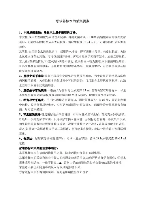 尿标本的采集要点