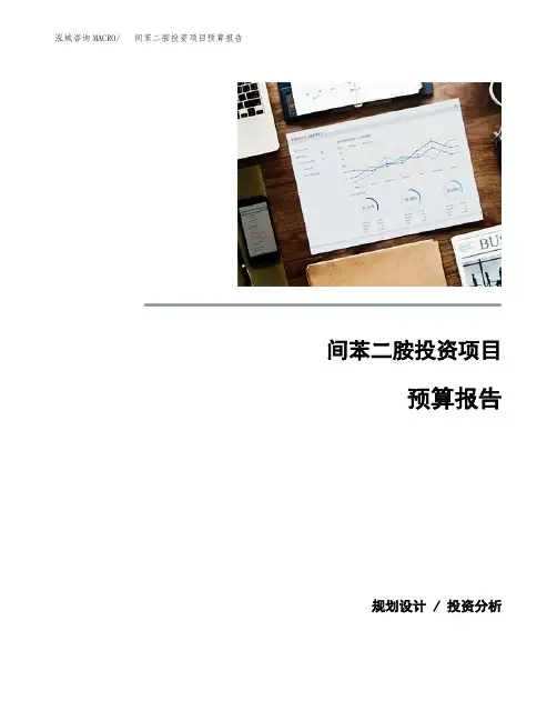 间苯二胺投资项目预算报告