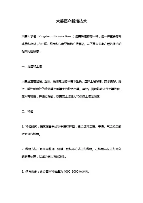 大姜高产栽培技术