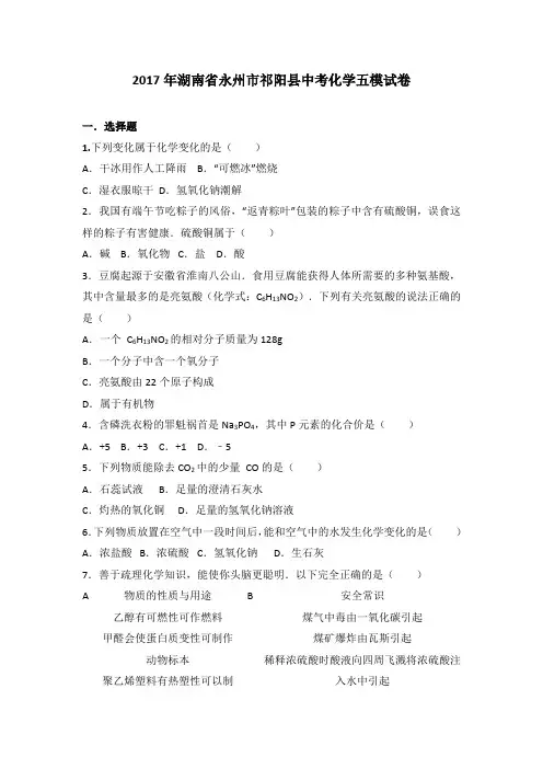 湖南省永州市祁阳县2017届中考化学五模试卷(解析版)