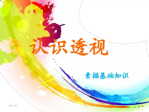 透视 ppt课件