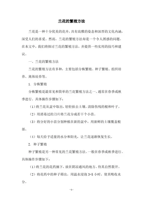 兰花的繁殖方法