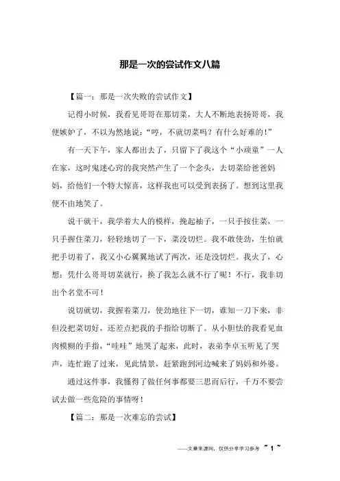 那是一次的尝试作文八篇